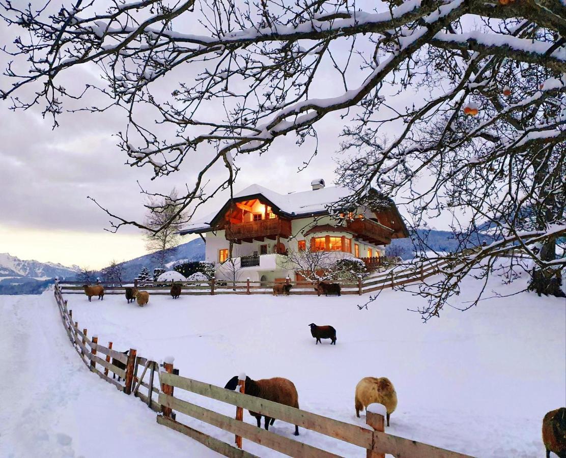 Oberplunerhof - Fewo Kronplatz Chienes Bagian luar foto